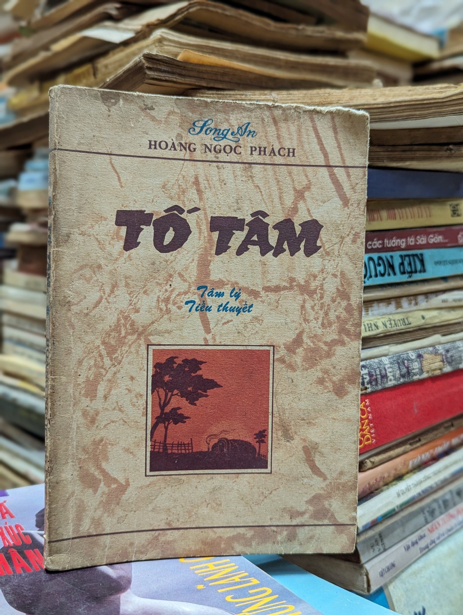 Tố Tâm Hoàng Ngọc Phách: Sự Thật Về Nhân Vật Huyền Thoại Gallery 2