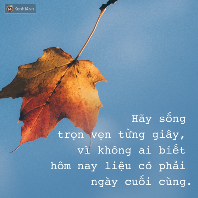 Thật Là Vô Nghĩa Gallery 1