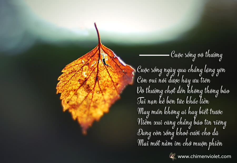 Thơ về Cuộc Sống Vô Thường: Chiêm Nghiệm Sự Biến Đổi Của Cuộc Đời Gallery 1