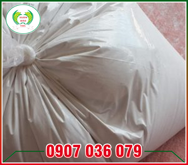 Vôi nước quét tường: Hướng dẫn chi tiết từ A đến Z
