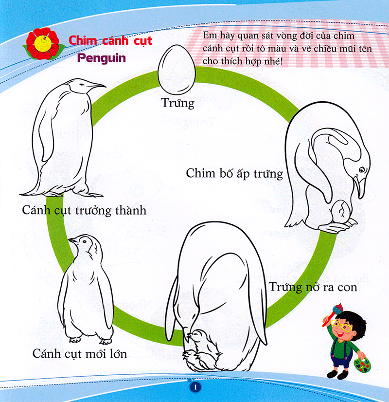 Chim Cánh Cụt Đẻ Con Hay Đẻ Trứng? Gallery 1