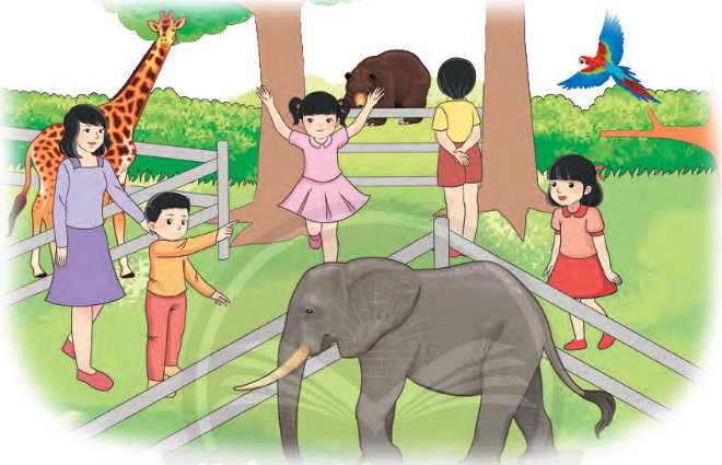 Vui Học Ở Thảo Cầm Viên