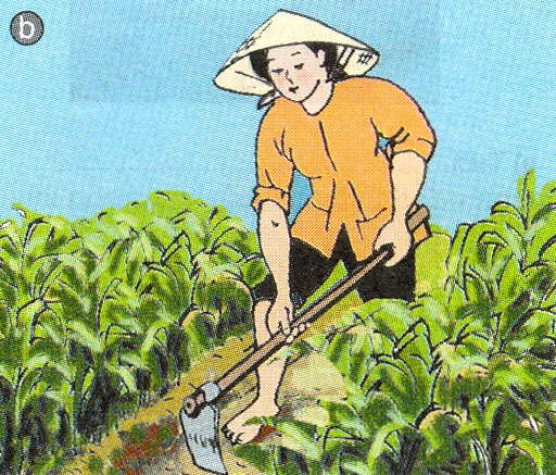Vun đắp là gì?
