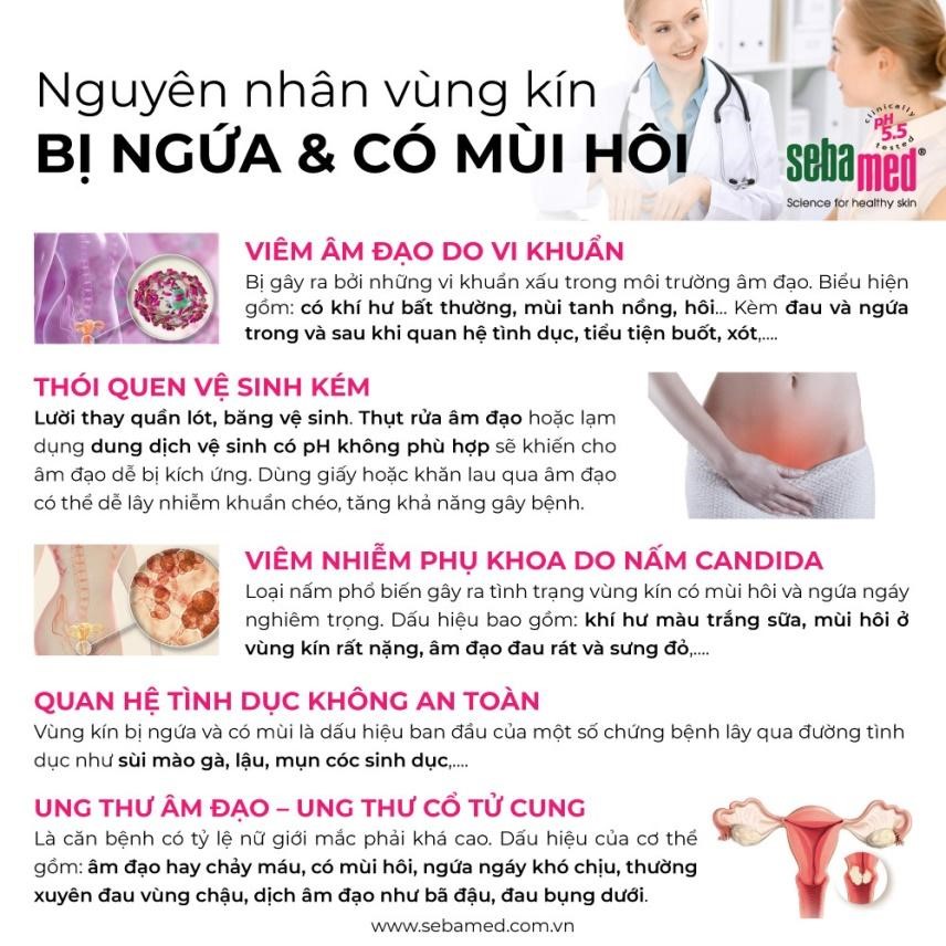 Vùng Kín Ngứa Ngáy Khó Chịu: Nguyên Nhân và Cách Khắc Phục