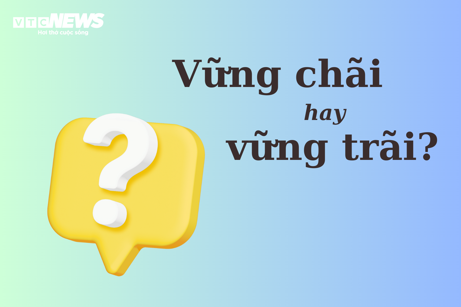 Vững Trãi Là Gì?