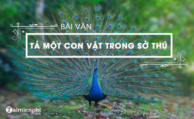 Tả Con Vật Ở Sở Thú Gallery 2
