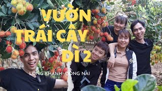 Vườn Trái Cây Dì 2 Gallery 2
