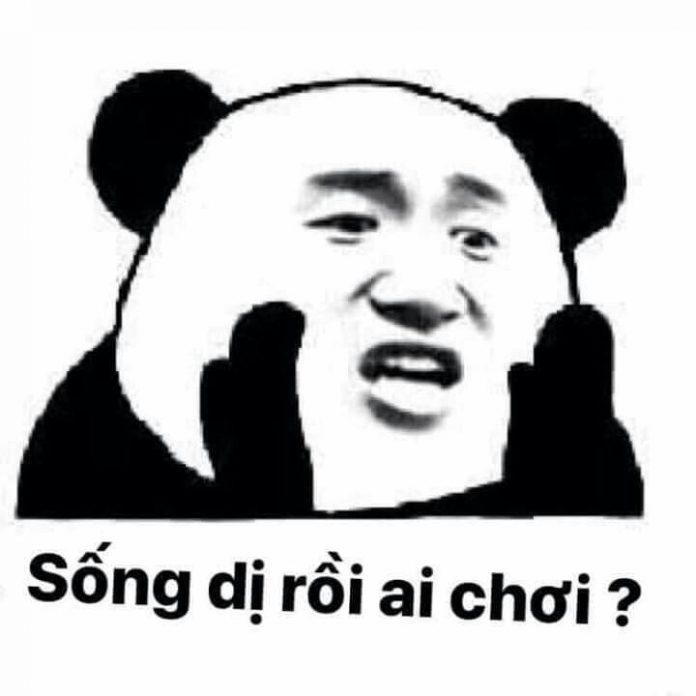 Weibo Meme Là Gì? Tổng Hợp Meme Hài Hước Trên Weibo Gallery 1
