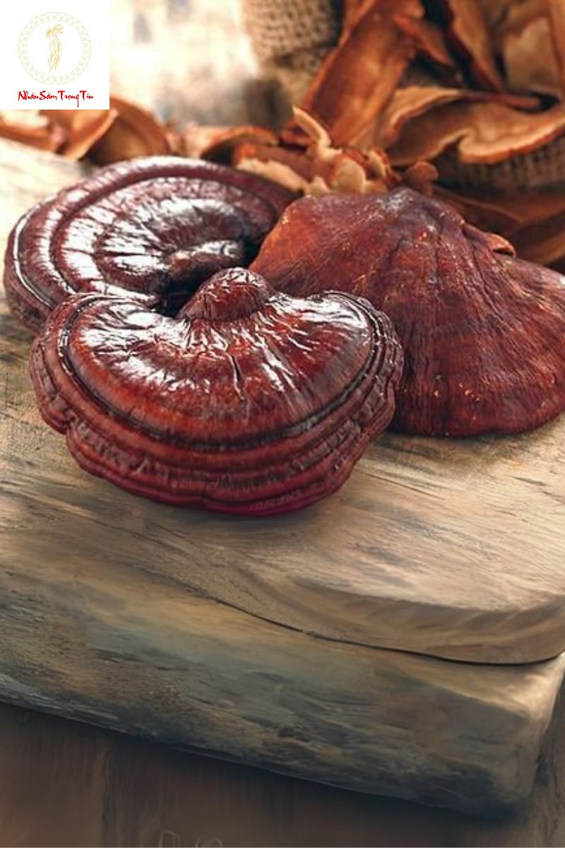 Reishi Mushroom: Benefits, Uses, and Side Effects Gallery 1
