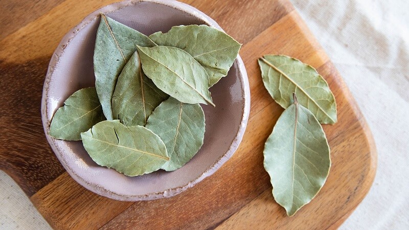 Bay Leaf Gallery 1