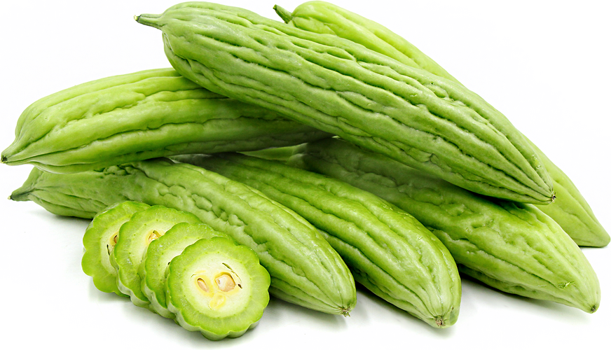 Bitter Melon in English Gallery 1