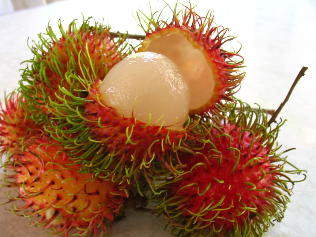 Rambutan: The Fuzzy Fruit of Southeast Asia Gallery 1