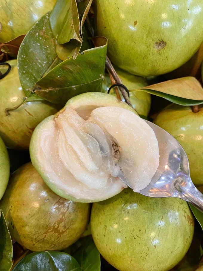 Vietnamese Sapodilla (Vú Sữa): A Sweet and Creamy Delight Gallery 1