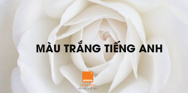 The Meaning and Symbolism of White Gallery 2