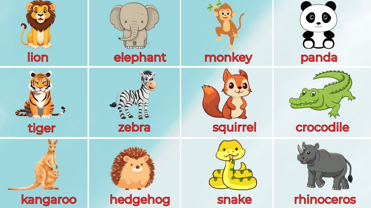 Animals for Kids: Fun Facts and Pictures Gallery 2