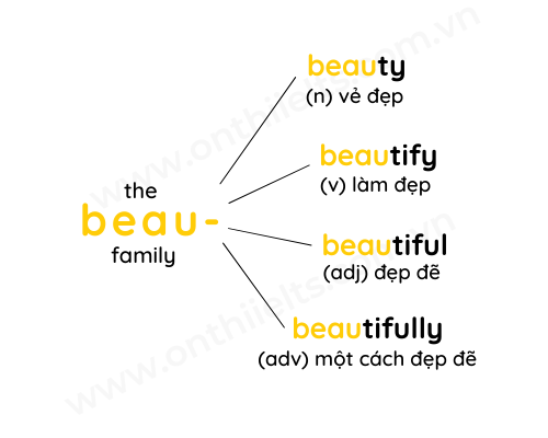 Word Family Là Gì?