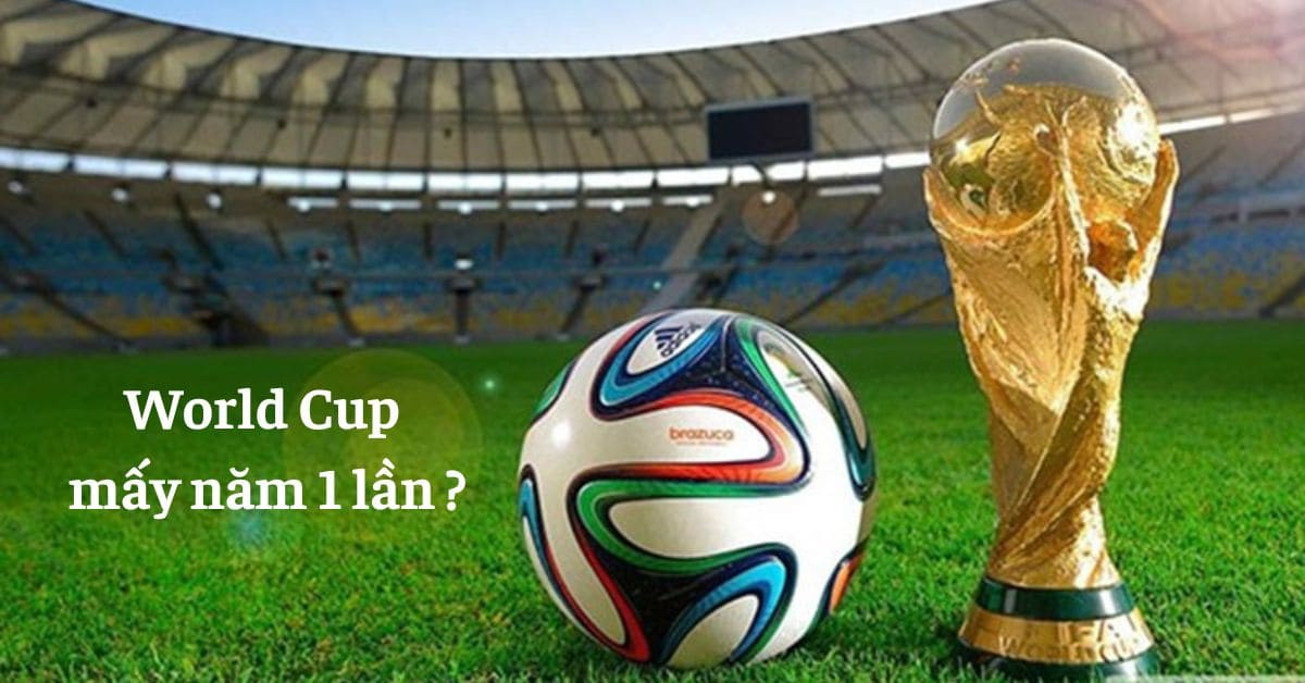 World Cup diễn ra mấy năm 1 lần?