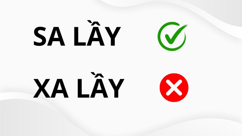 Xa Lầy Là Gì?
