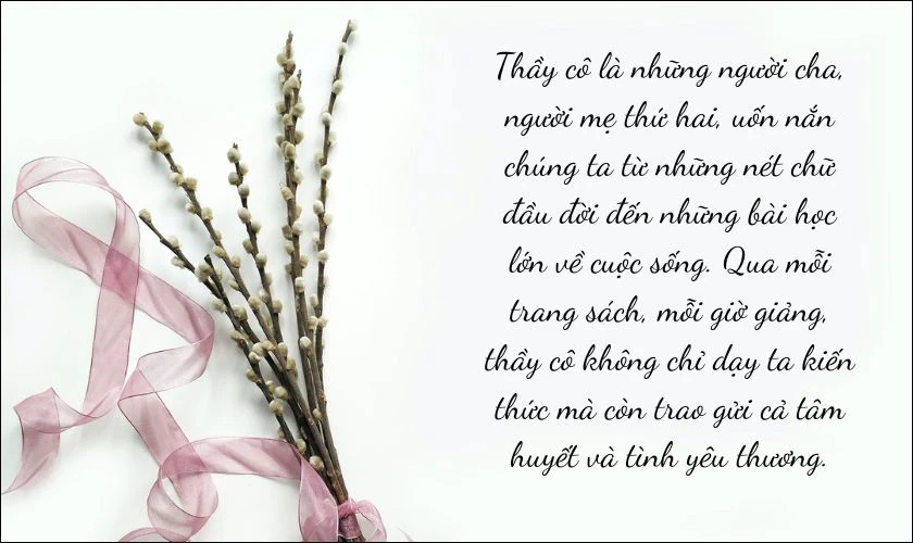 Xã Luận 20/11 Ngắn Gọn, Ấn Tượng
