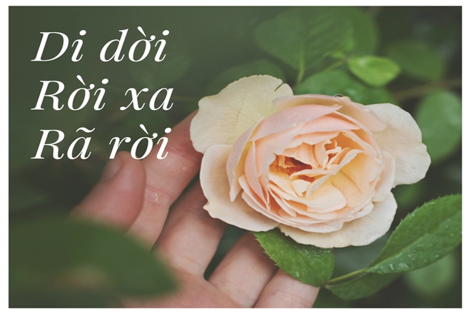 Xa rời hay xa dời? Gallery 2