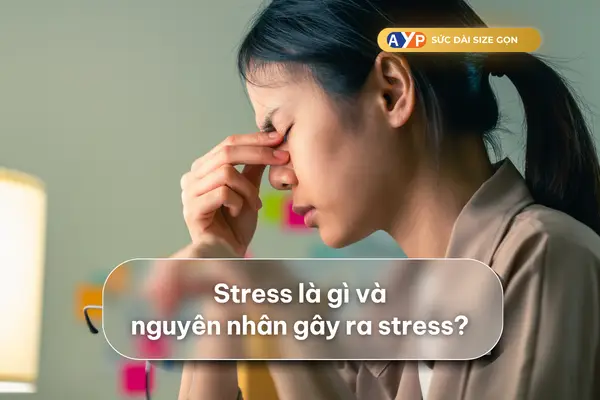 Xả Stress Nghĩa Là Gì?