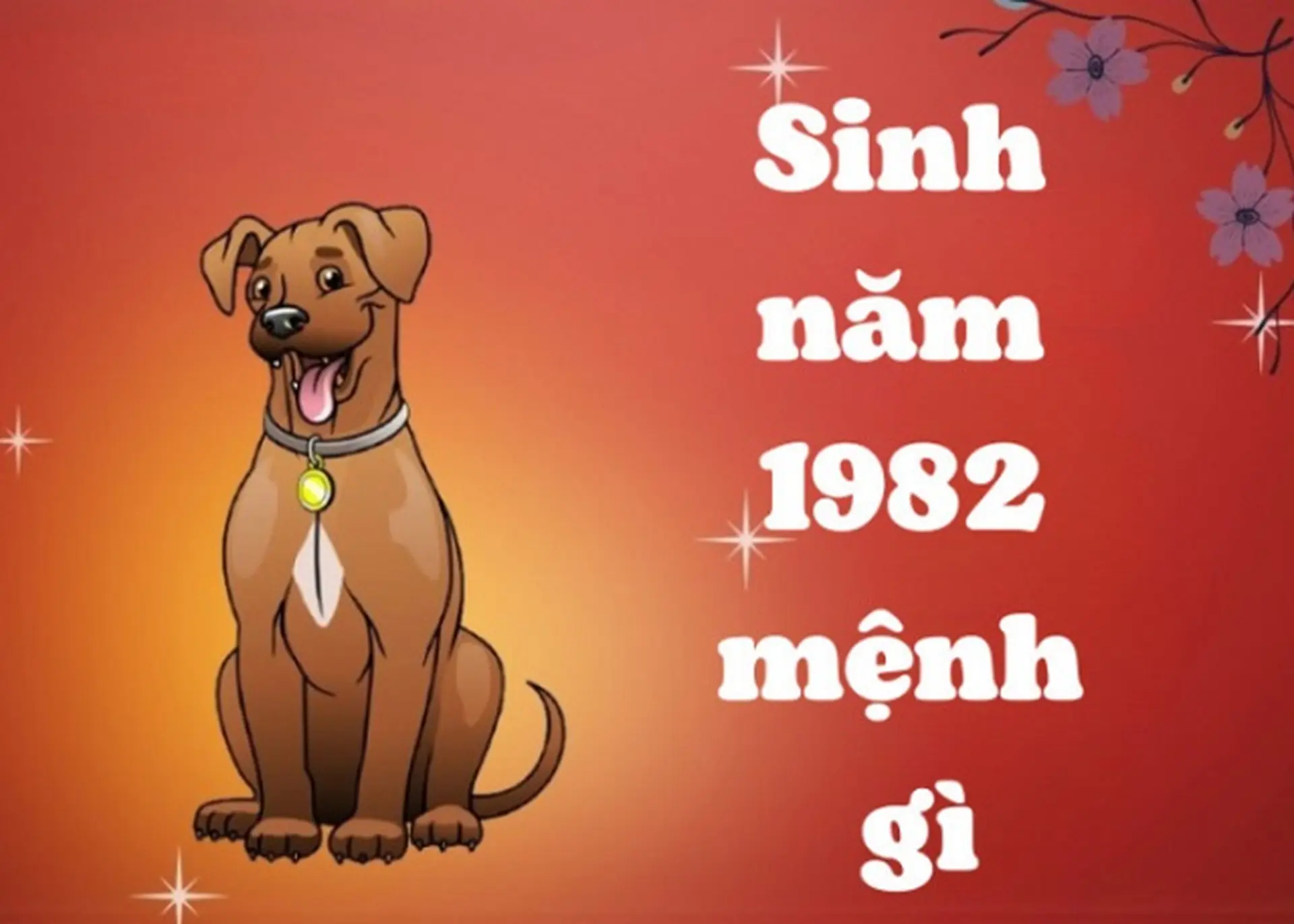 Tuổi 1982 hợp số nào? Gallery 1