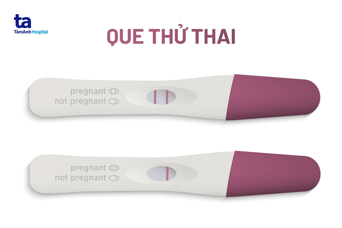 Vừa Hết Kinh Thử Que 2 Vạch: Có Thể Mang Thai Không? Gallery 2