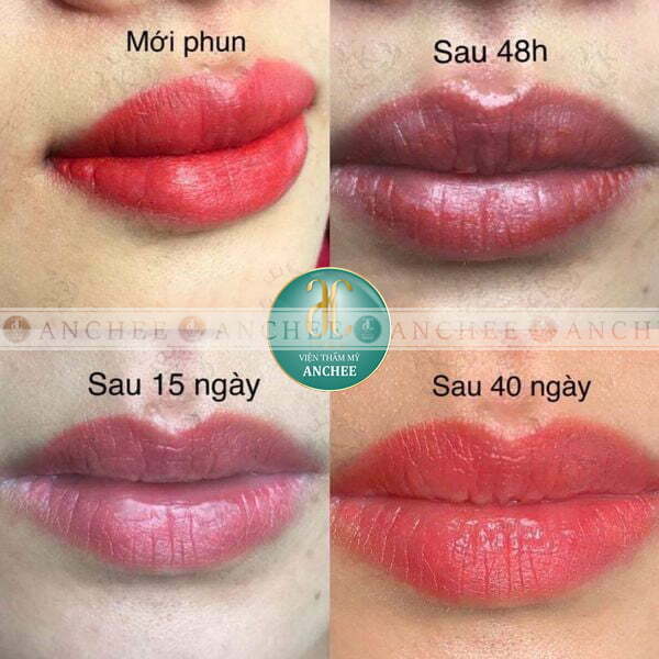 Xăm môi bao lâu thì ăn được mực?