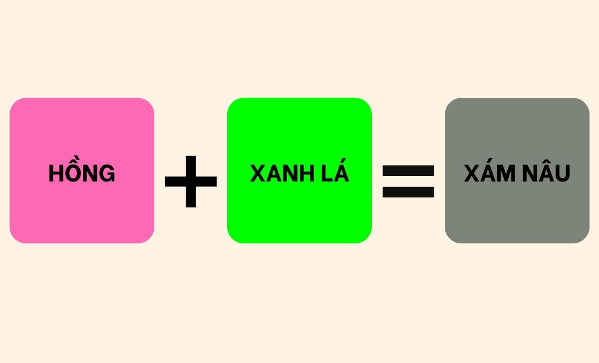 Xanh Lá + Hồng Ra Màu Gì?