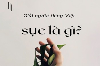 Xấp nhỏ hay sắp nhỏ? Gallery 2