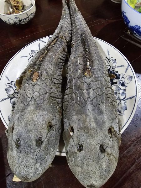 Xấu Hoắc Là Gì? Gallery 2