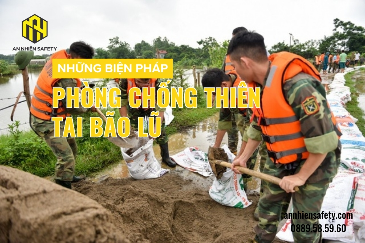 Các Biện Pháp Phòng Chống Lũ Lụt Hiệu Quả Gallery 1