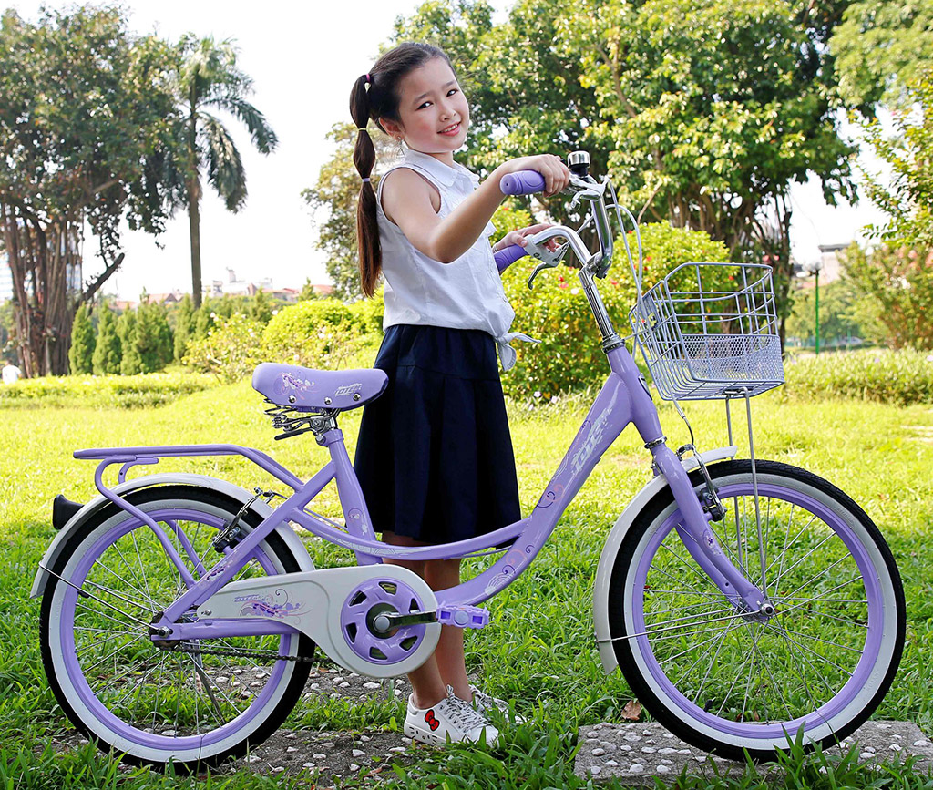 Xe Đạp Học Sinh Lớp 3: Chọn Xe An Toàn và Phù Hợp Gallery 2