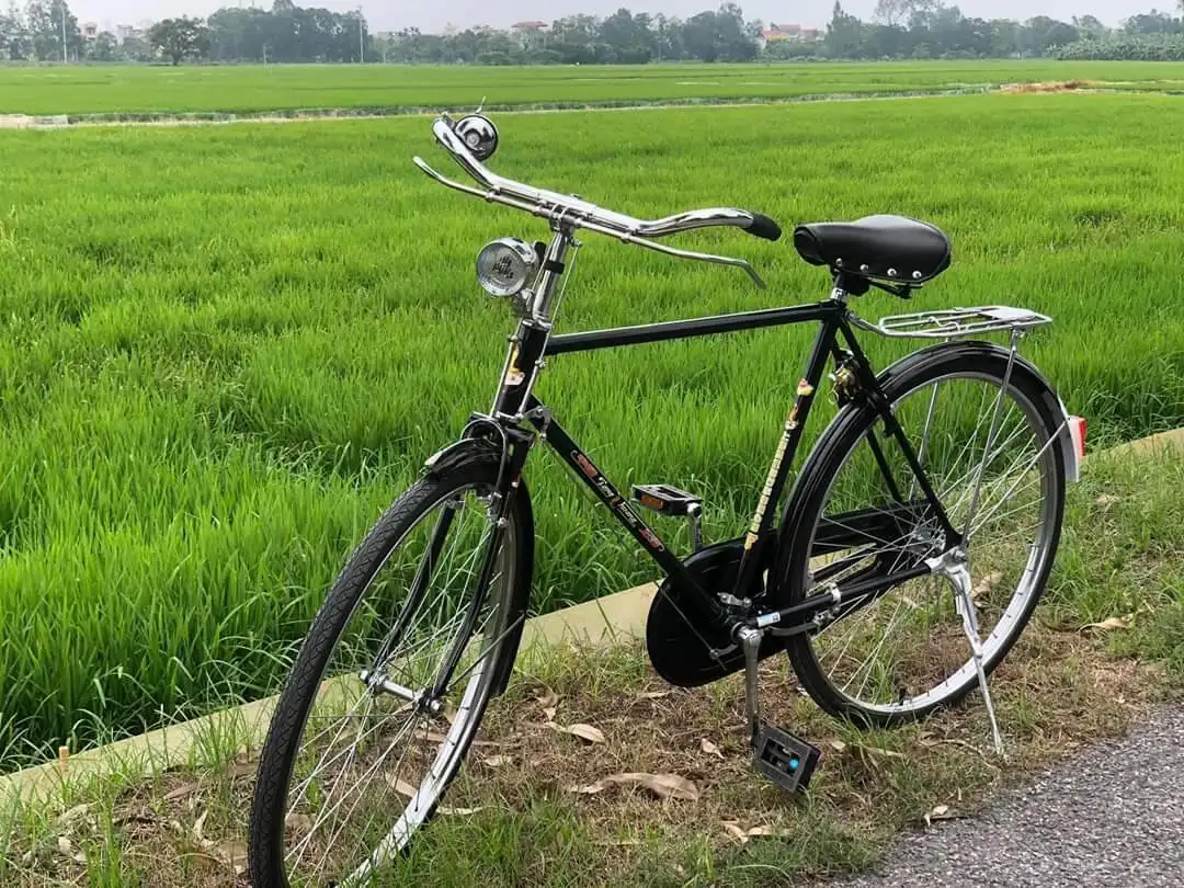Xe Đạp Phượng Hoàng Trung Quốc