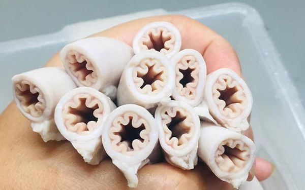 Xe Điếu Là Gì?