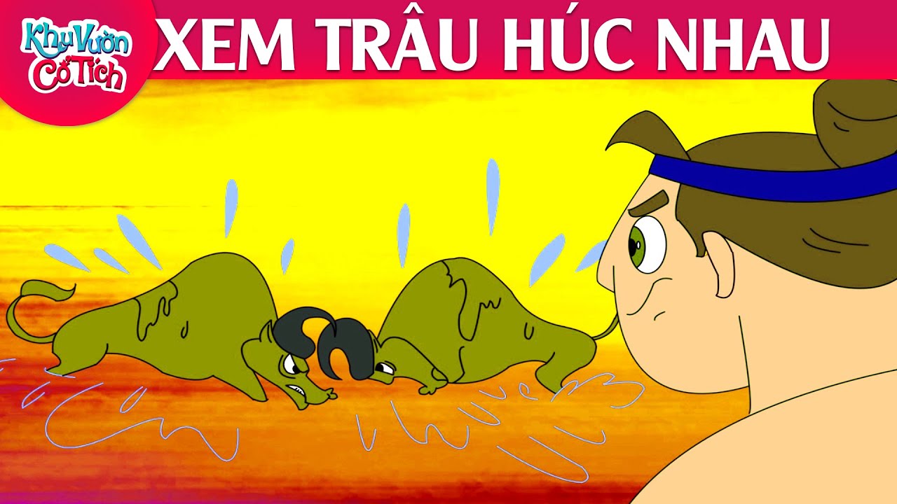 Xem Trâu Húc Nhau