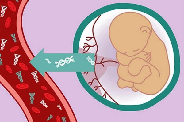 Xét nghiệm dị tật thai nhi tuần thứ mấy?