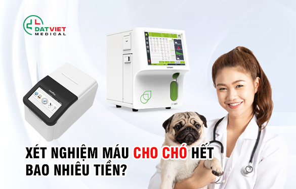Xét nghiệm máu cho chó bao nhiêu tiền?