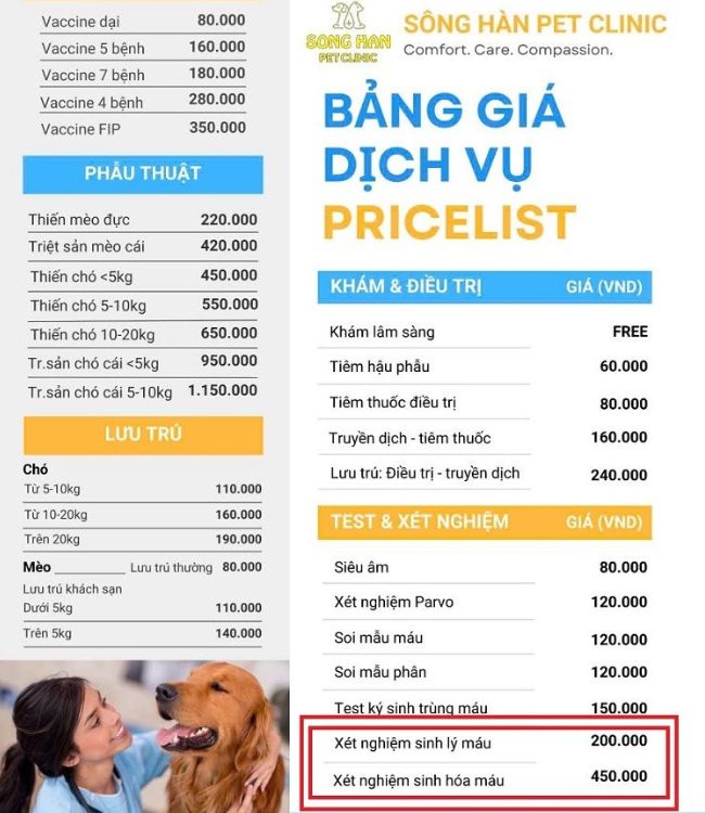 Xét nghiệm máu cho chó bao nhiêu tiền? Gallery 2