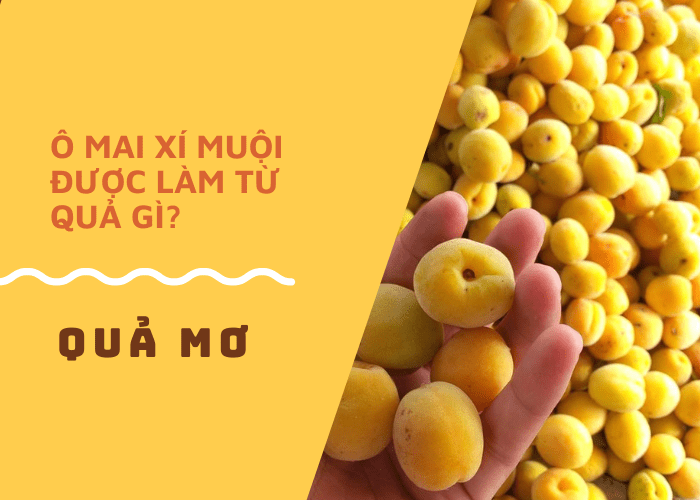 Xí muội làm từ quả gì?