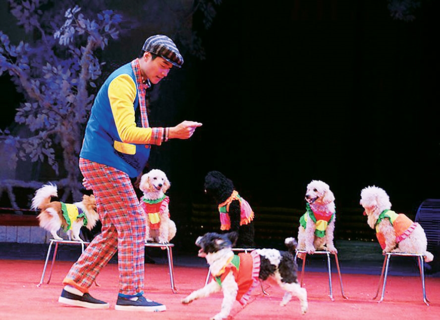 Xiếc thú Việt Nam: Thực trạng, tranh cãi và tương lai