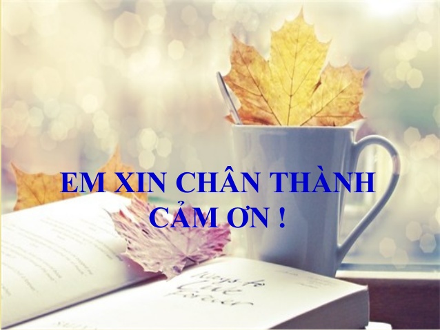Xin chân trọng cảm ơn Gallery 2