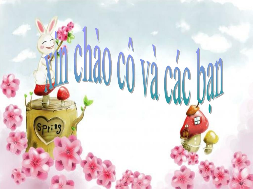 Xin chào cô và các bạn PowerPoint