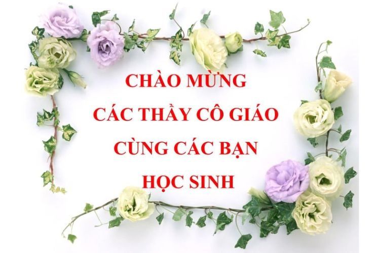 Xin chào thầy cô và các bạn