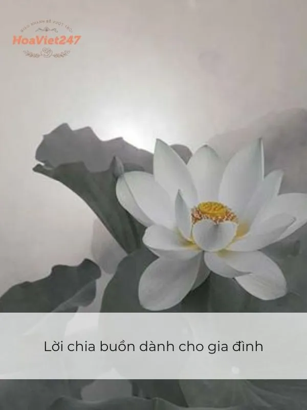 Xin chia buồn cùng gia đình