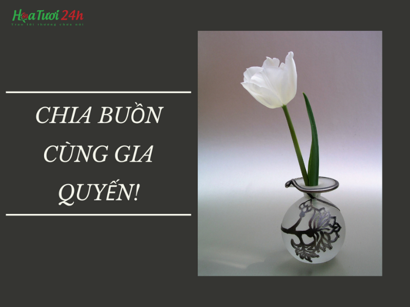 Xin chia buồn cùng gia đình Gallery 2