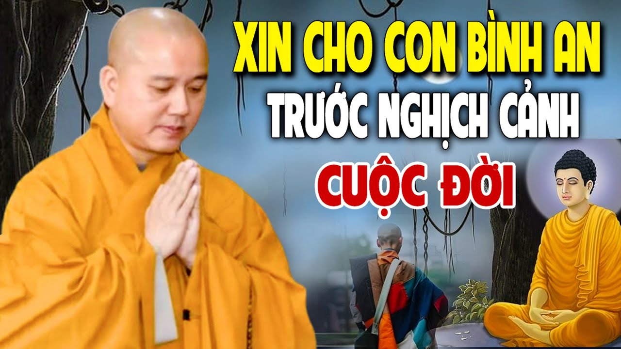 Xin Cho Con Bình Thản Trước Nghịch Cảnh Cuộc Đời