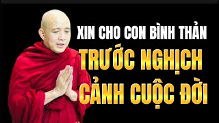 Xin Cho Con Bình Thản Trước Nghịch Cảnh Cuộc Đời Gallery 2