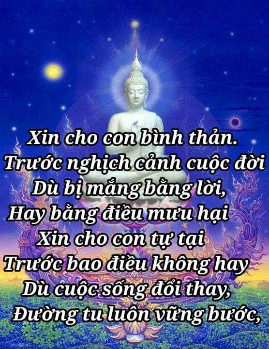 Xin Cho Con Bình Thản Trước Nghịch Cảnh Cuộc Đời Gallery 1
