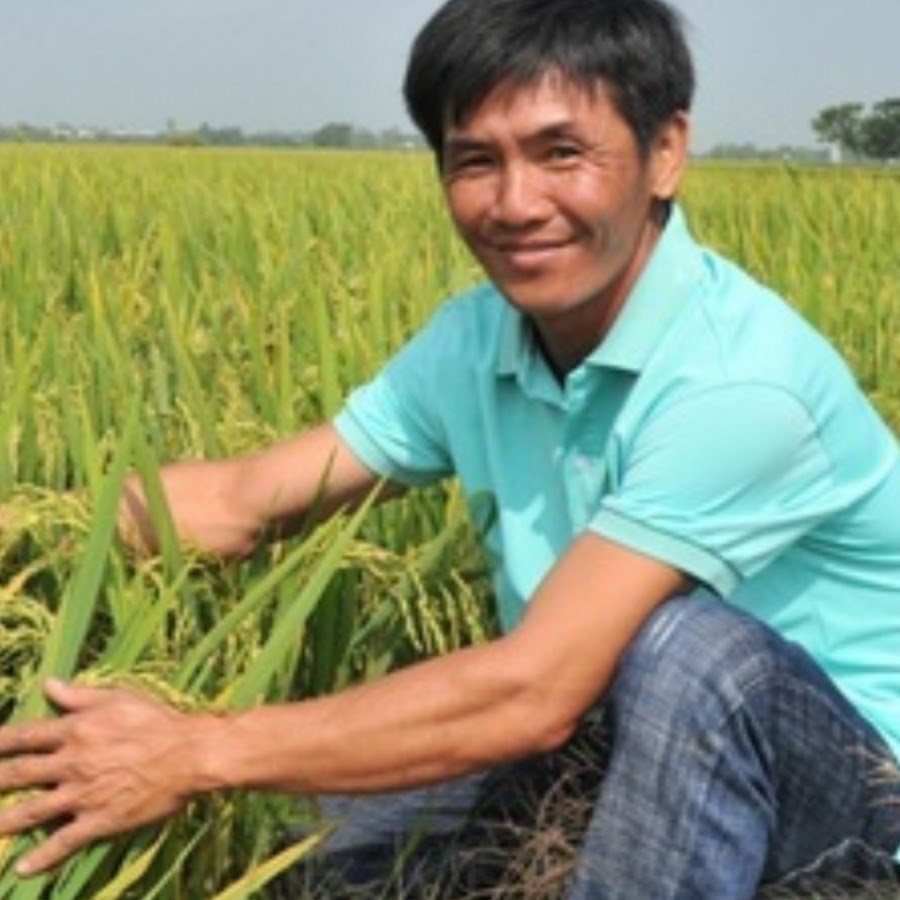 Xin Số Thần Tài Lúa